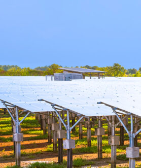 Solar Farm 2